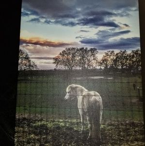 11x14 satin 1.5 personalized canvas(brand new)
